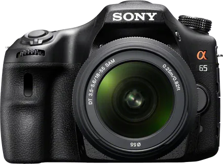 Sony A65