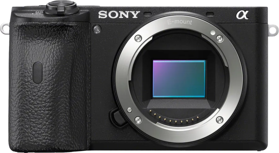 Sony A6600