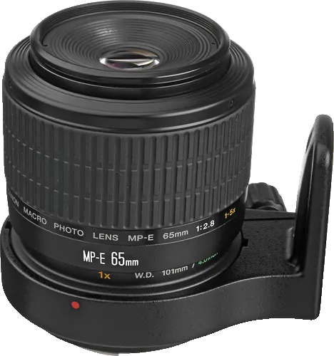 Canon MP-E 65mm f/2.8 1-5x Macro Photo