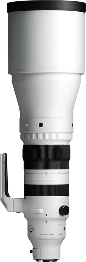 Sigma 300-600mm F4 DG OS Sports