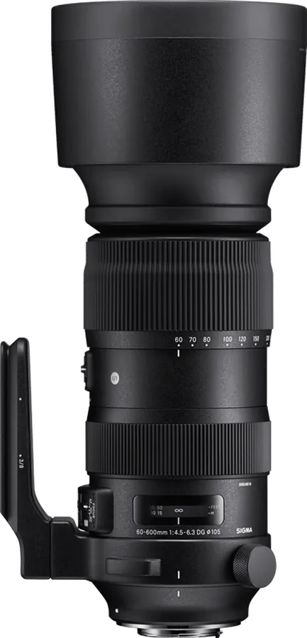 Sigma 60-600mm F4.5-6.3 DG OS HSM Sports
